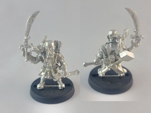 Gnome Gadgeteer