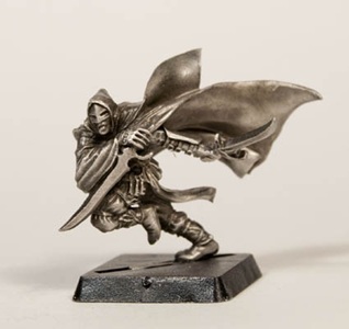 Rogue Pirate Ninja